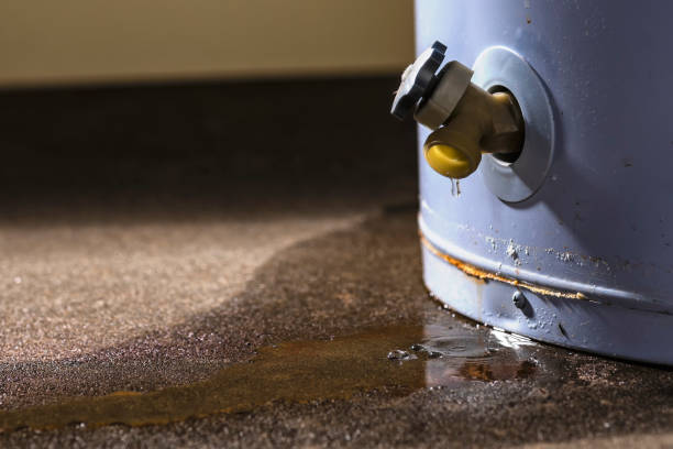 Best Ceiling water damage repair  in Madeira Beach, FL