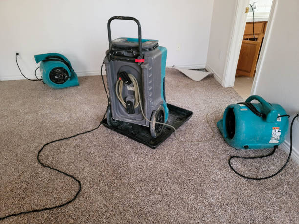 Water damage restoration experts in Madeira Beach, FL