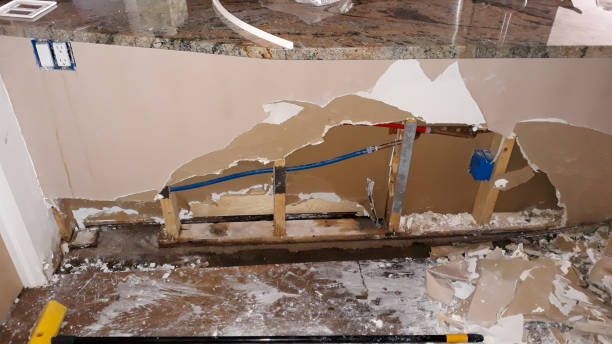 Best Flood restoration services  in Madeira Beach, FL