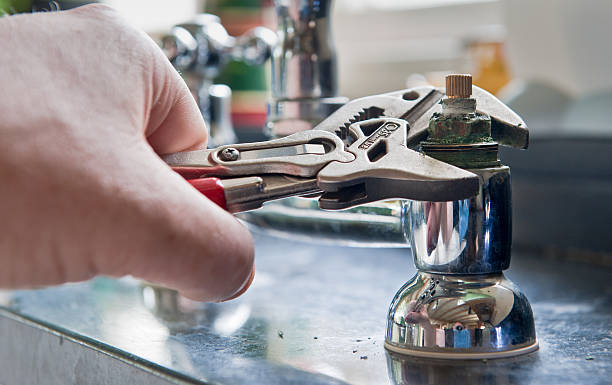 Best Basement water damage restoration  in Madeira Beach, FL