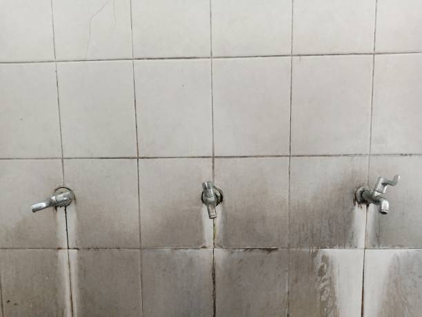 Best Professional water damage repair  in Madeira Beach, FL