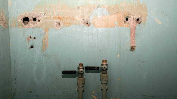 Best Residential water damage restoration  in Madeira Beach, FL