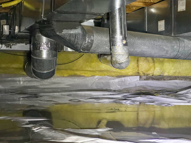 Best Basement water damage restoration  in Madeira Beach, FL