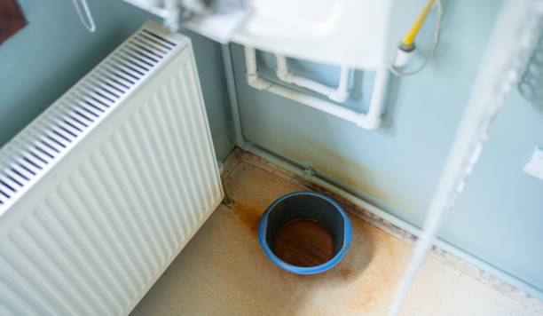 Best Local water damage restoration  in Madeira Beach, FL
