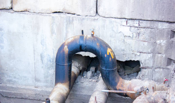 Best 24-hour water damage restoration  in Madeira Beach, FL