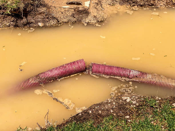 Reliable Madeira Beach, FL Water damage restoration Solutions