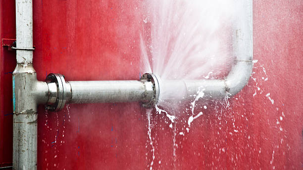 Water damage restoration mold remediation in Madeira Beach, FL