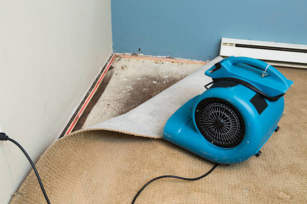 Best Emergency water damage restoration  in Madeira Beach, FL